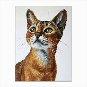 Abyssinian Cat Painting 2 Canvas Print