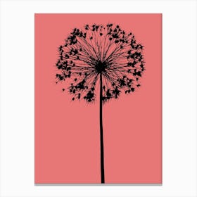 Coral  allium Canvas Print