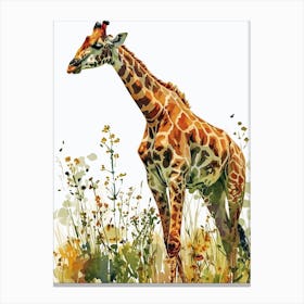 Giraffes Wandering Through The Grass 2 Canvas Print