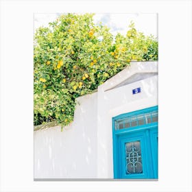 Lemon Tree In Greece Canvas Print