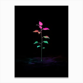 Neon Plant 24 Canvas Print