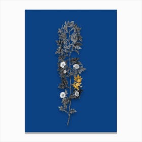 Vintage Cuspidate Rose Black and White Gold Leaf Floral Art on Midnight Blue n.0294 Canvas Print