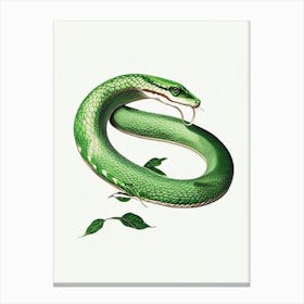 Rough Green Snake Vintage Canvas Print