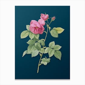 Vintage Pink Bourbon Roses Botanical Art on Teal Blue n.0811 Canvas Print