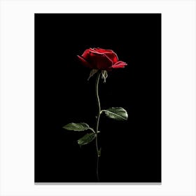 Single Red Rose On Black Background 28 Canvas Print