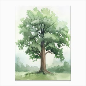 Mahogany Tree Atmospheric Watercolour Painting 8 Canvas Print