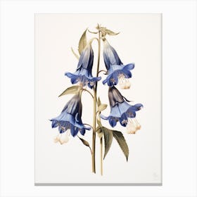 Pressed Flower Botanical Art Bluebell Canvas Print