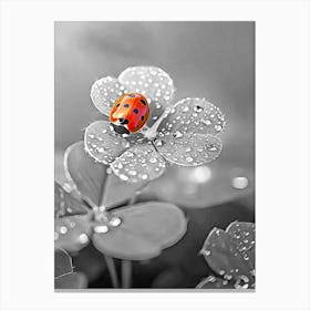 Ladybug On A Flower 1 Canvas Print