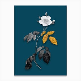 Vintage Big Leaved Climbing Rose Black and White Gold Leaf Floral Art on Teal Blue Canvas Print