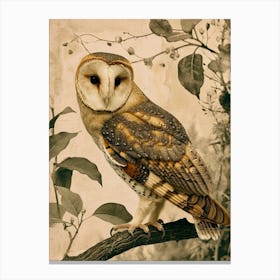 Australian Masked Owl Painting 3 Canvas Print
