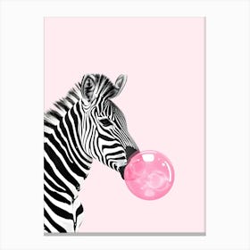 Zebra Chewing Gum Canvas Print