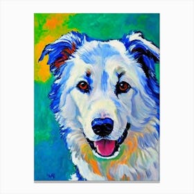 Border Collie 2 Fauvist Style dog Canvas Print