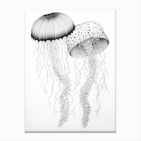 Irukandji Jellyfish Drawing 6 Canvas Print