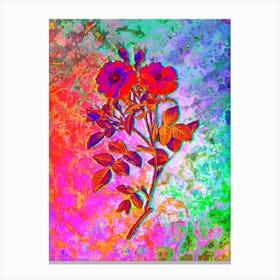 Queen Elizabeth's Sweetbriar Rose Botanical in Acid Neon Pink Green and Blue Canvas Print