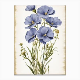 Blue Larkspur Canvas Print