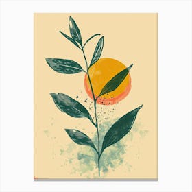 Sun And Leaves, Mid century Canvas Print