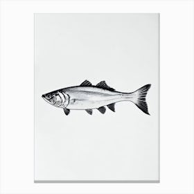 Cod Fish Black & White Drawing Canvas Print