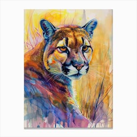 Cougar Colourful Watercolour 2 Canvas Print