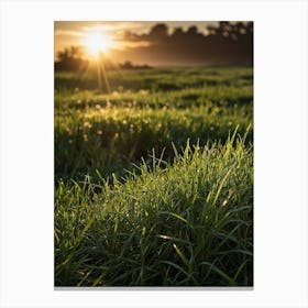 Sunrise Over A Grassy Field 1 Canvas Print