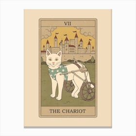 The Chariot   Cats Tarot Canvas Print