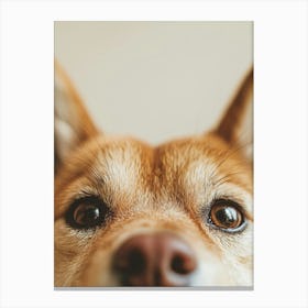 Shiba Inu. Generated AI. Art Print 9 Canvas Print