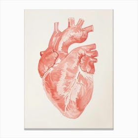 Human Heart 1 Canvas Print