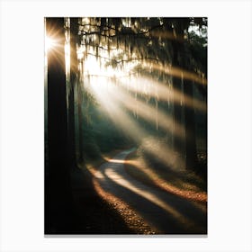 Sunbeams In The Forest Canvas Print