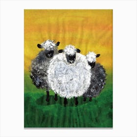 Three Sheep painted by Paoling Rees Canvas Print