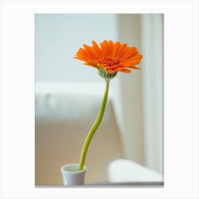 Orange Gerbera Flower In White Vase On White Background 1 Canvas Print