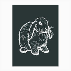 Mini Lop Rabbit Minimalist Illustration 3 Canvas Print