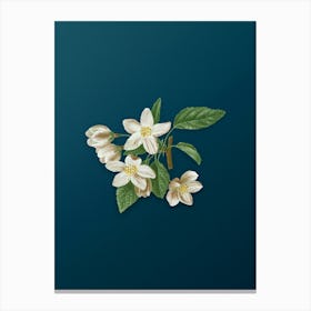 Vintage Crabapple Botanical Art on Teal Blue n.0268 Canvas Print