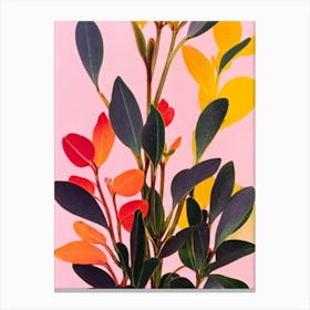 Kalanchoe Thyrsiflora Colourful Illustration Plant Canvas Print