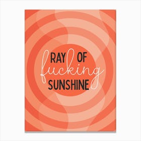 Ray Of Fucking Sunshine Canvas Print