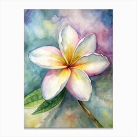 Frangipani 1 Canvas Print