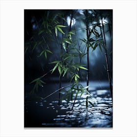 Bamboo Tree In The Rain 2 Canvas Print