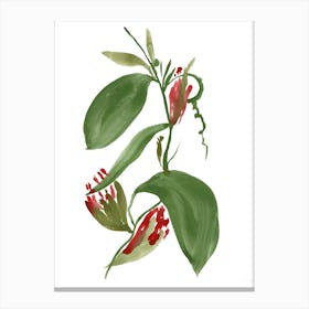 Orchid Leaves Canvas Print