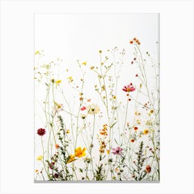 Wildflowers Flowers Flora Floral Flower Canvas Print