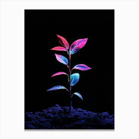 Glow In The Dark Plant 4 Canvas Print