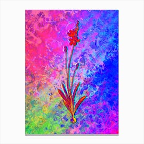 Mossel Bay Tritonia Botanical in Acid Neon Pink Green and Blue n.0355 Canvas Print
