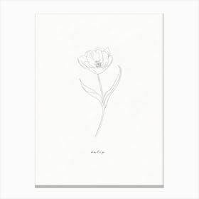 Tulip Line Drawing Canvas Print