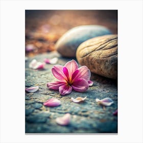 Petals And Pebbles Place A Delicate Flower Peta (1) Canvas Print