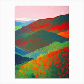 Blue Mountains National Park Australia Abstract Colourful Canvas Print