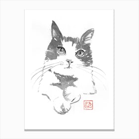 chat pausé Canvas Print