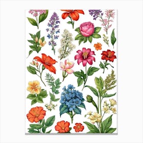 Wild Flowers Canvas Print