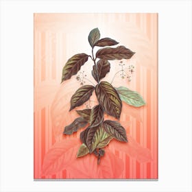 Broadleaf Spindle Vintage Botanical in Peach Fuzz Awning Stripes Pattern n.0057 Canvas Print