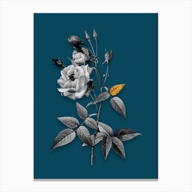 Vintage Common Rose of India Black and White Gold Leaf Floral Art on Teal Blue n.0056 Canvas Print