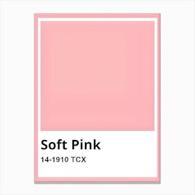 Soft Pink Canvas Print