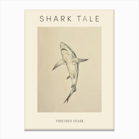 Thresher Shark Vintage Illustration 1 Poster Canvas Print
