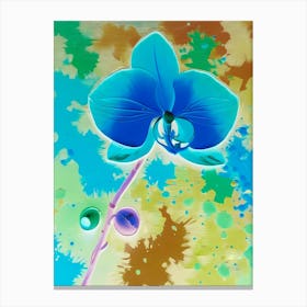 Blue Orchid Canvas Print