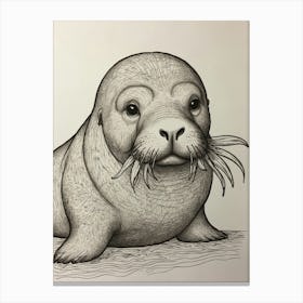 Seal Drawing 2 Canvas Print